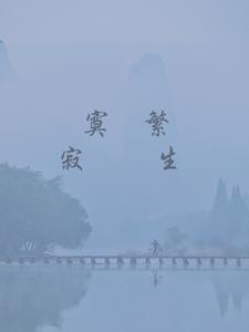 寂寞繁华是什么意思