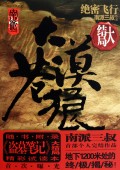 大漠苍狼2绝密飞行