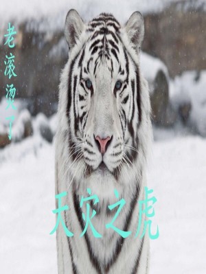 魔兽世界怀旧服天灾石是哪个任务