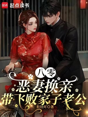 可以npc的游戏